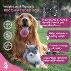 Weight & Thyroid Support for Dogs and Cats, Natural Solution for Hunger Control, Metabolism Support, Optimal Thyroid Function, Effective Dog & Cat Weight Loss, 400 Odorless, Tasteless Pills