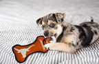 Pets First NCAA Texas Longhorns Dental Dog TUG Toy with Squeaker. Tough PET Toy for Healthy Fun, Teething & Cleaning Pets Teeth & Gum