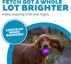 Outward Hound by Planet Dog Strobe Light Up LED Ball Dog Toy, Purple