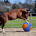 Herding Ball for Dogs - 18" Medium Herding Ball with Anti-Burst Cover and Pump, Outdoor Dog Exercise Toy for Australian Shepherd, German Shepherd, Collie (Blue & Orange)