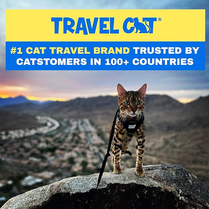 Travel Cat Harness and Leash Set - Adjustable Fit Mesh Cat Harness and Reflective Strap - Comfort Walking Vest for Kitten for Outdoor Walking, Hiking (Medium, Black)