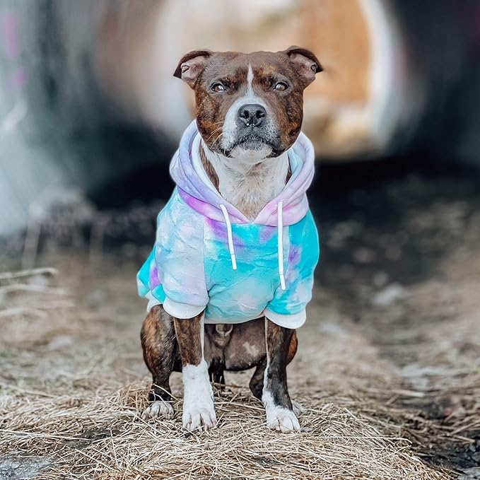 Spark Paws Dog Hoodie – Premium Dog Sweater for Small, Medium, and Large Dogs | Warm Outfits for French Bulldogs, Pitbull, Puppy, Winter Jacket Alternative - 90s Retro Sky Dye - M