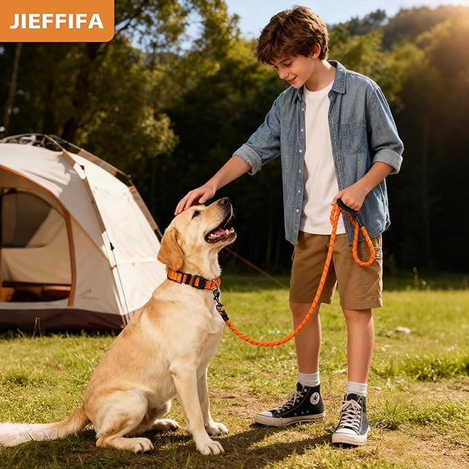 Nylon Dog Leash for Medium Large Dogs, 5-FTReflective Heavy Duty Leash with Comfortable Handle & Poop Bag Dispenser Ring, 1/2 Inch Wide, Secure Reinforcement for Walking (Orange, M)