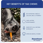 Downtown Pet Supply Yak Cheese Himalayan Dog Chews - Regular Yak Chews Rich in Nutrients for Small to Medium Dogs - Long Lasting, Odorless and Easy to Digest Cheese Dog Treats - 0.5 LB