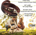 Leather Dog Leash 6 ft x 3/4 inch - Soft, Strong, Heavy Duty for Large & Medium Breeds - Dog Lead for Walking (Brown - Gold Colored Clasp, L - 6 ft x 3/4 inch)