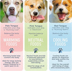 Side by Side Chicken & Lamb | Beef & Salmon Stew - Wet Dog Food & Dog Food Topper for All Breeds - Made with Nutrients & Whole Raw Ingredients - No Artificial Additives or Fillers (12.5 oz, 4-Pack)