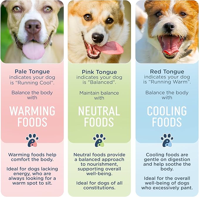 Side by Side Variety Stew - Warming/Cooling/Neutral Wet Dog Food & Dog Food Topper for All Breeds - Made with Nutrients & Whole Raw Ingredients - No Artificial Additives or Fillers (12.5 oz, 3-Pack)