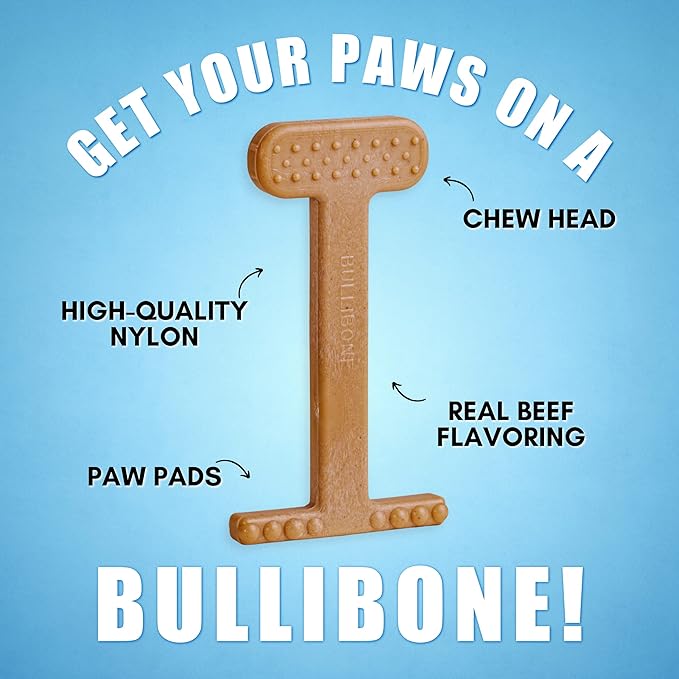 Bullibone Nylon Dog Chew Toy Nylon Bone - Improves Dental Hygiene, Easy to Grip Bottom, and Permeated with Flavor (Beef, Small - 2 Pack)