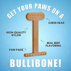 Bullibone Nylon Dog Chew Toy Nylon Bone - Improves Dental Hygiene, Easy to Grip Bottom, and Permeated with Flavor (Beef, Small - Single)