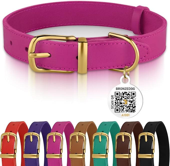 BRONZEDOG Leather Dog Collar with Metal Buckle Durable Basic Pet Collars for Small Medium Large Dogs (14-17 Inch (Pack of 1), Pink & Gold Buckle)