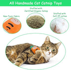 6 Pack Cat Toys Pineapple, Catnip Kitten Toys for Indoor Cats Kitty, Interactive Cat Nip Chew Kicker Toy for All Pet Breed