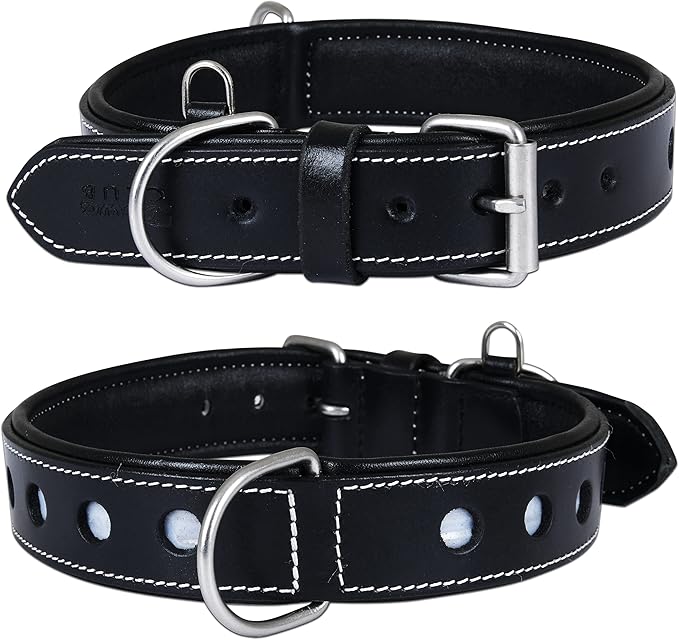 Genuine Leather Reflective Dog Collar | Stellar Series | Safe for Night Walking | Soft, Cushion Padding, Handmade | Best for Small, Medium, Large, XL (M (Fit Neck Size 14.5"-18.5"), Raven)