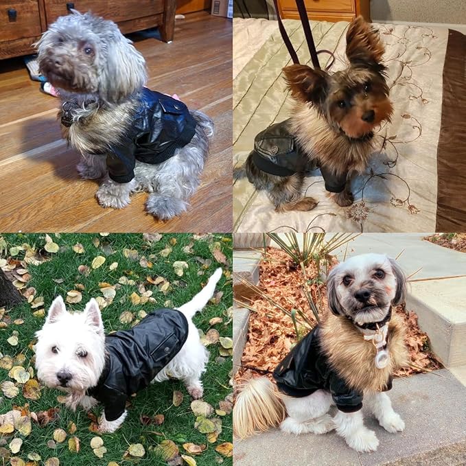 LESYPET Dog Leather Jacket for Small Dogs, Waterproof Dog Winter Jacket Puppy Coat with Fleece Lined, Ultra Warm Fur Collar Doggie Coat, Red XX-Large