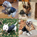 LESYPET Dog Leather Jacket for Small Dogs, Waterproof Dog Winter Jacket Puppy Coat with Fleece Lined, Ultra Warm Fur Collar Doggie Coat, Black XX-Large