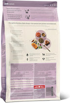 Now Fresh Good Gravy, Bone Broth Coated Kibble, Dry Dog Food, Salmon Adult Recipe with Grains, All Breed Size, 22 lb Bag