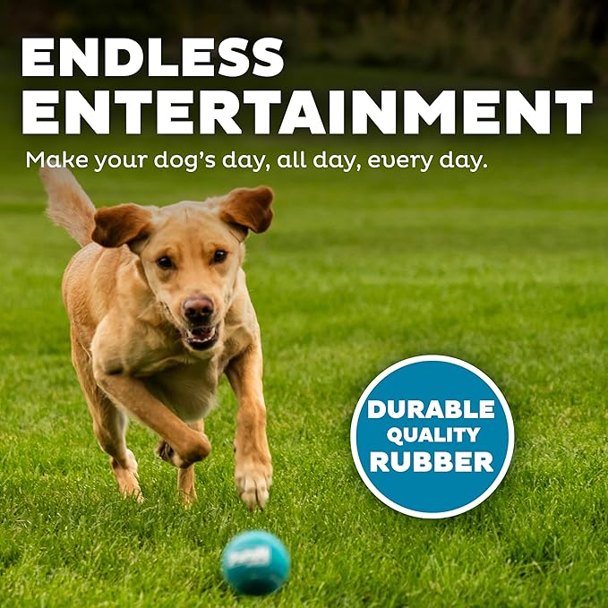 Outward Hound Squeaker Ballz 4-Pack Tennis Ball Dog Toys with Squeaker, Interactive Fetch Play for Pets Under 50 lbs, Training Balls for Indoor & Outdoor Exercise, Medium, 2.5-inch