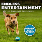 Outward Hound Squeaker Ballz 4-Pack Tennis Ball Dog Toys with Squeaker, Interactive Fetch Play for Pets Under 50 lbs, Training Balls for Indoor & Outdoor Exercise, Medium, 2.5-inch