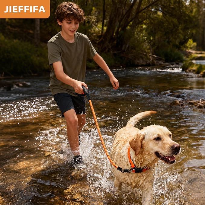 Nylon Dog Leash for Medium Large Dogs, 5-FTReflective Heavy Duty Leash with Comfortable Handle & Poop Bag Dispenser Ring, 1/2 Inch Wide, Secure Reinforcement for Walking (Orange, L)