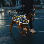 Dog Raincoat for Medium Dogs Waterproof Hooded Rain Jacket with Reflective Strips Leash Hole & Poncho Adjustable Fit (Duck,M)