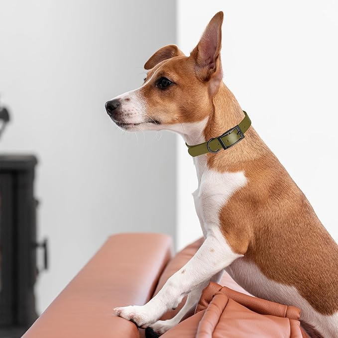 Dogline Biothane Waterproof Dog Collar Strong Coated Nylon Webbing with Black Hardware Odor- Proof for Easy Care Easy to Clean High Performance Fits Small Medium or Large Dogs, Olive Drab Green