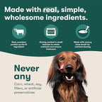 Jinx Salmon Grain Free Wet Dog Food Toppers, Meal or Mix with Dry Dog Food, Made with Real Salmon & Chicken, Bone Broth, No Fillers, Puppy, Adult, Senior, 9oz, 6 Pack