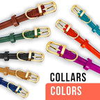 OOPSDOGGY Reflective Rolled Leather Dog Collar Adjustable Soft Padded Pet Collar for Small Medium Large Breed Dogs (Teal, M, 12"-15")