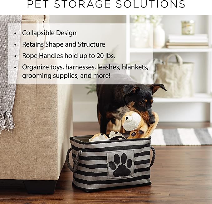 Bone Dry Pet Storage Collection Paw and Bone Print, Large Rectangle, 17.5x12x15 Hunter Green Trellis