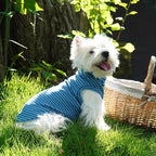 ROZKITCH Dog Turtleneck Sweater, Ultra-Soft Stretch Fleece Vest for Medium & Large Dogs, Cold Weather Apparel for Outdoor Adventures BlueStripe 2XL