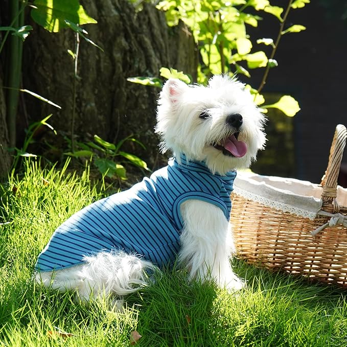 ROZKITCH Dog Sweaters for Large Dogs Winter Dog Pullover, Warm Sweatshirt with High Neck for French Bulldog Small Pets, Lightweight & Comfortable BlueStripe XL