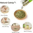 Potaroma Natural Catnip Silvervine Gall Fruit Cat Toys Set with Plush Shell, Organic Kitten Toys for Relaxing and Teething, Interactive Cat Kicker Set (2.2" Dia Tubes)