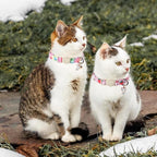ARING PET 2 Pack Cat Collars-Cute Breakaway Cat Collar with Bell & Pendant, Adjustable Strawberry&Ice Cream Pattern Kitten Collars with Safety Buckle for Girl and Boy Cats