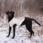 ASENKU Dog Winter Coat - Waterproof Windproof Dog Jacket, Warm Snowproof Doggie Puffer Vest for Cold Weather, Lightweight Snow Coats for Small Medium Large Dogs(Silver, XS)