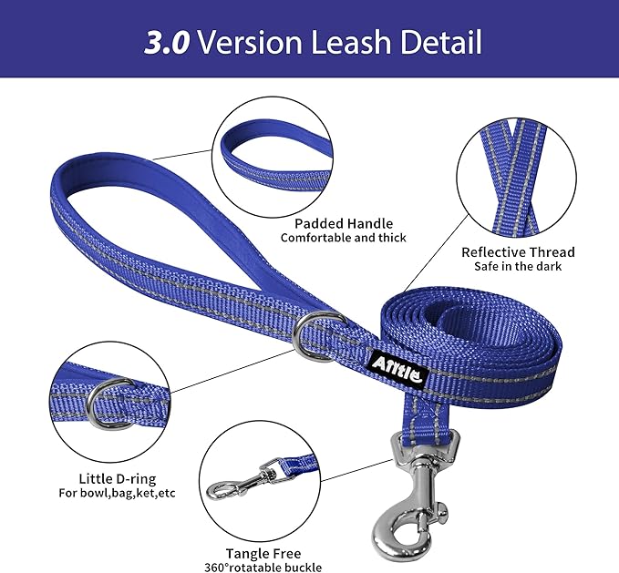 AIITLE Easy Walk Dog Harness and Leash Set - Pet Supply No Pull, Step in Adjustable Pet Harnesses with Padded Vest for Summer, No Choke Over, Easy to Put on Medium Dogs Royal Blue L