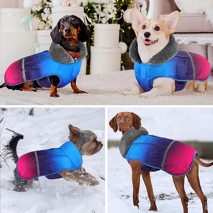Dogcheer Warm Dog Coat, Waterproof Dog Winter Jacket Christmas Puppy Cold Weather Coats with Buckle, Reflective Adjustable Pet Snow Jacket for Small Medium Large Dogs - Gradient Blue-red, XL