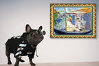 ChoChoCho Woof Dog Hoodie, Designer Dog Hoodies for Small Medium Large Breeds, Art Collection Dog Sweatshirts, Street Drawstring Hoodies Outfit Clothes for Puppy Puppies (5XL, Monet Painting)