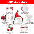 GAMUDA Small Dog Harness Collar and Leash Set, Step in No Chock No Pull Soft Mesh Adjustable Dog Vest Harnesses Plaid Reflective for Dogs Puppy Cats Kitten Rabbit (Warm Red, XXS)