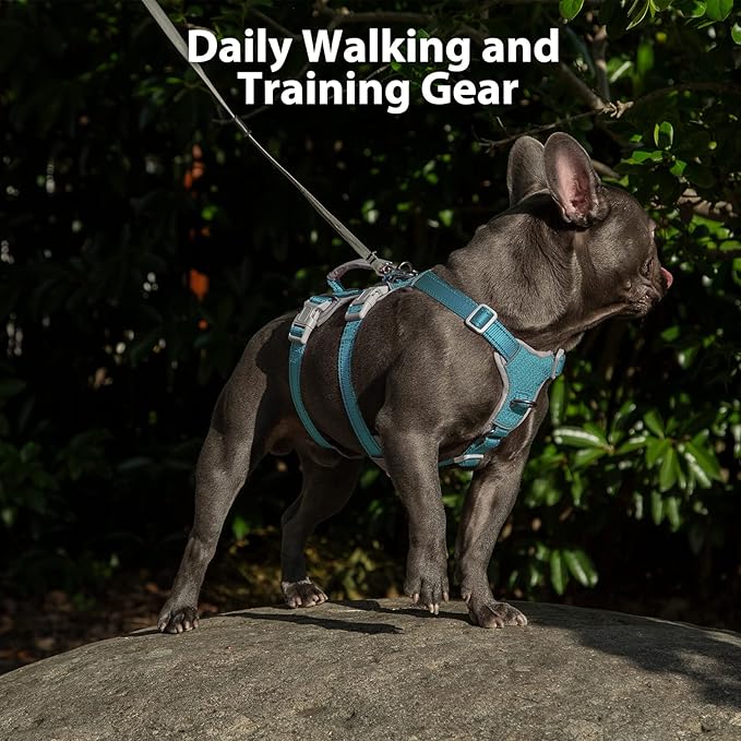 Huntboo Escape Proof Dog Harness, Escape Artist Harness, Fully Reflective Harness with Padded Handle, Breathable, Durable, Adjustable Vest for Small Dogs Walking, Training, and Running Gear (Teal,S)
