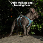 Huntboo Escape Proof Dog Harness, No Pull Reflective Harness with Lift Handle, Adjustable Pet Vest with Front and Back Leash Clips for Small Medium Large Dogs Walking Hiking Training (Teal,L)
