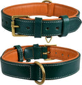 Genuine Leather Dog Collar | Full Grain, Heavy Duty, Comfortable, Padded, Strong | Best for Pups, Small, Medium, Large & XL Breeds (X-Large (Fit Neck Size 22"-26"), Teal Green)