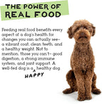 Simple Food Project - Beef & Salmon Recipe - Freeze Dried Raw Food for Dogs - 24oz
