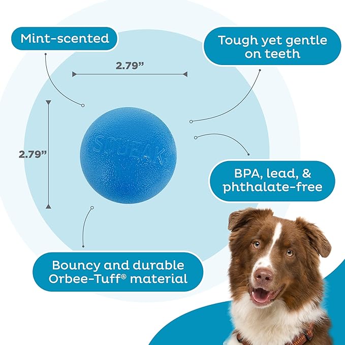Outward Hound by Planet Dog Squeak Ball Bouncy Fetch Dog Toy, Blue
