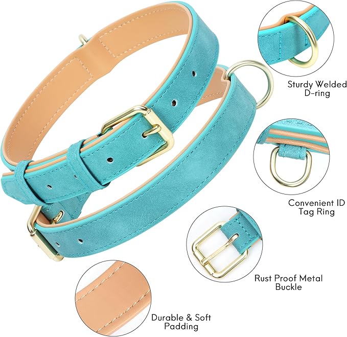 Leather Dog Collar for Small Medium Large Dogs, Soft Padded Dog Leather Collar with Heavy Duty Gold Buckle, Durable & Comfortable for Medium Dogs Daily Walking (Teal, M)