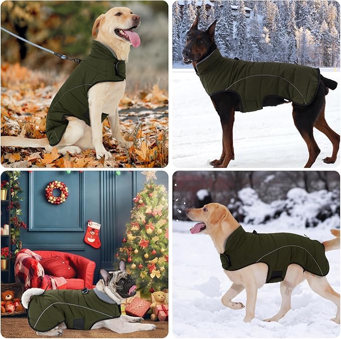 HEYWEAN Dog Winter Coat - Waterproof Windproof Reflective Vest for Medium & Large Breeds Adjustable Warm FleeceLined Jacket with Magic Tape & D-Ring for Leash Cold Weather Apparel (Green, Medium)