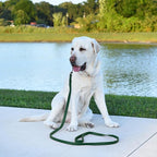 Dogline Biothane Waterproof Dog Leash Strong Coated Nylon Webbing with Black Hardware Odor-Proof Easy to Clean High Performance for Small or Large Dogs Made in USA 2 ft Lead, Hunter Green