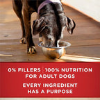 Purina ONE Plus Classic Ground Vibrant Maturity Adult 7 Plus Turkey And Barley Entree Senior Dog Food - (Pack of 12) 13 oz. Cans