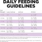 Go! Solutions Carnivore, Grain-Free, Protein Rich Dry Cat Food, Chicken, Turkey and Duck Recipe, 8 lb Bag