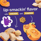 Fruitables Skinny Minis Dog Treats, Healthy Pumpkin Treat for Dogs, Low Calorie & Delicious, Puppy Training, No Wheat, Corn or Soy, Made in the USA, Rotisserie Chicken Flavor, 5oz