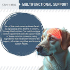 Senior Dog Vision and Cognition Chews - 60 Soft Chews for Dog Eye Care and Memory - 7-in-1 Multivitamin with Omega Fatty Acids, Vitamins, and Botanicals - Made in The USA