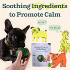 WOOF Pupsicle Calming Starter Kit - Pupsicle and Calming Pops Bundle - Long-Lasting Interactive Dog Toy - 10 Refills with Thiamine, Tryptophan, Passion Flower for Medium and Large Dogs 25-75 lbs