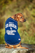 MLB LA Dodgers Dog T-Shirt, X-Large. - Licensed Shirt for Pets Team Colored with Team Logos. - Premium Stretchable Materials for The Comfort of Your Dog & cat.